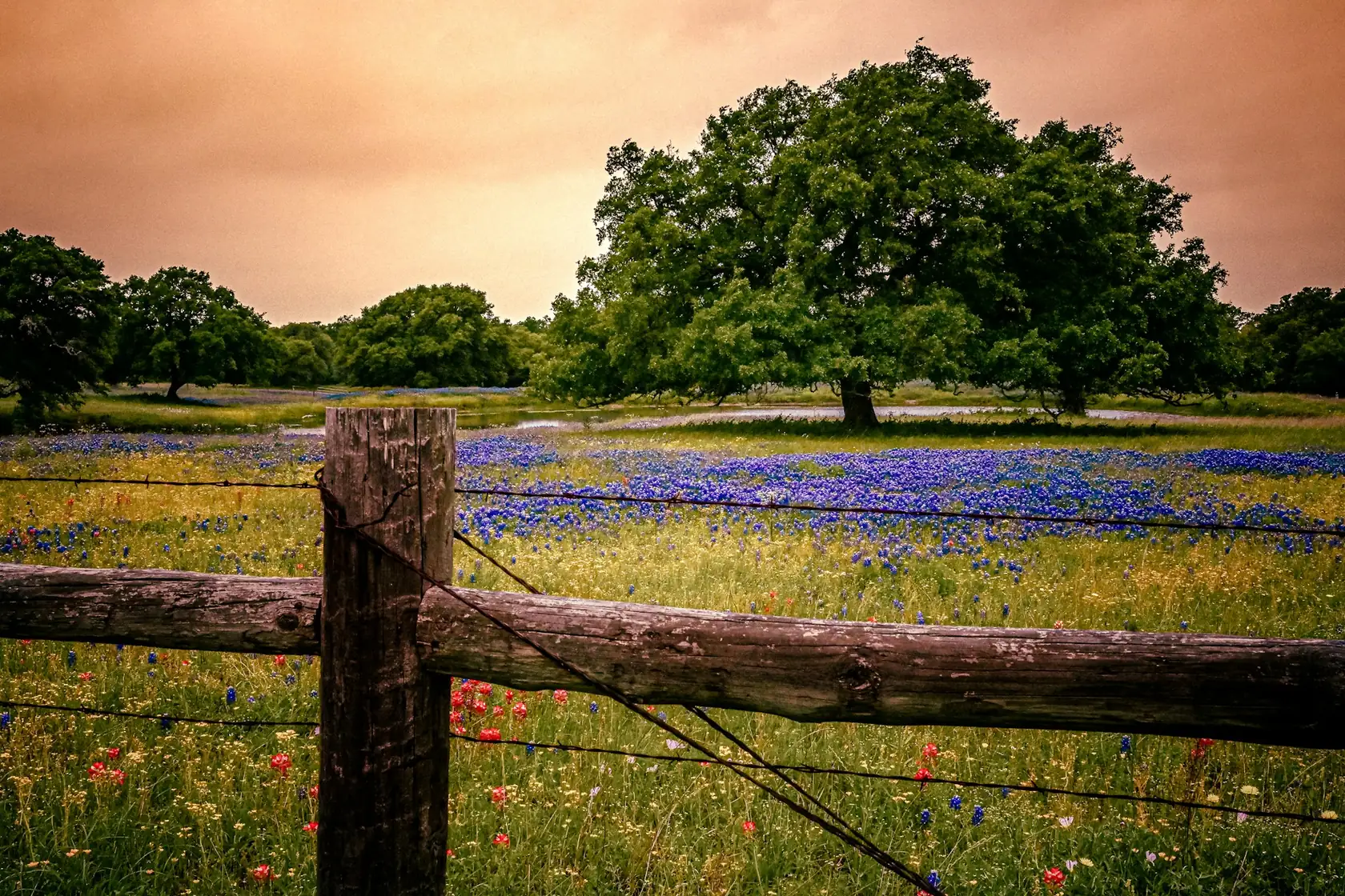 Texas Hill Country landscape at golden hour