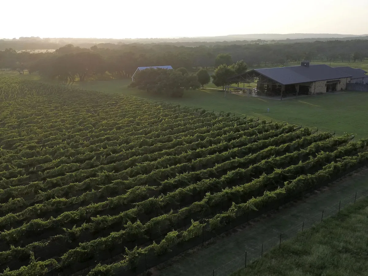 Featherstone Ranch Vineyards, Stonewall, TX