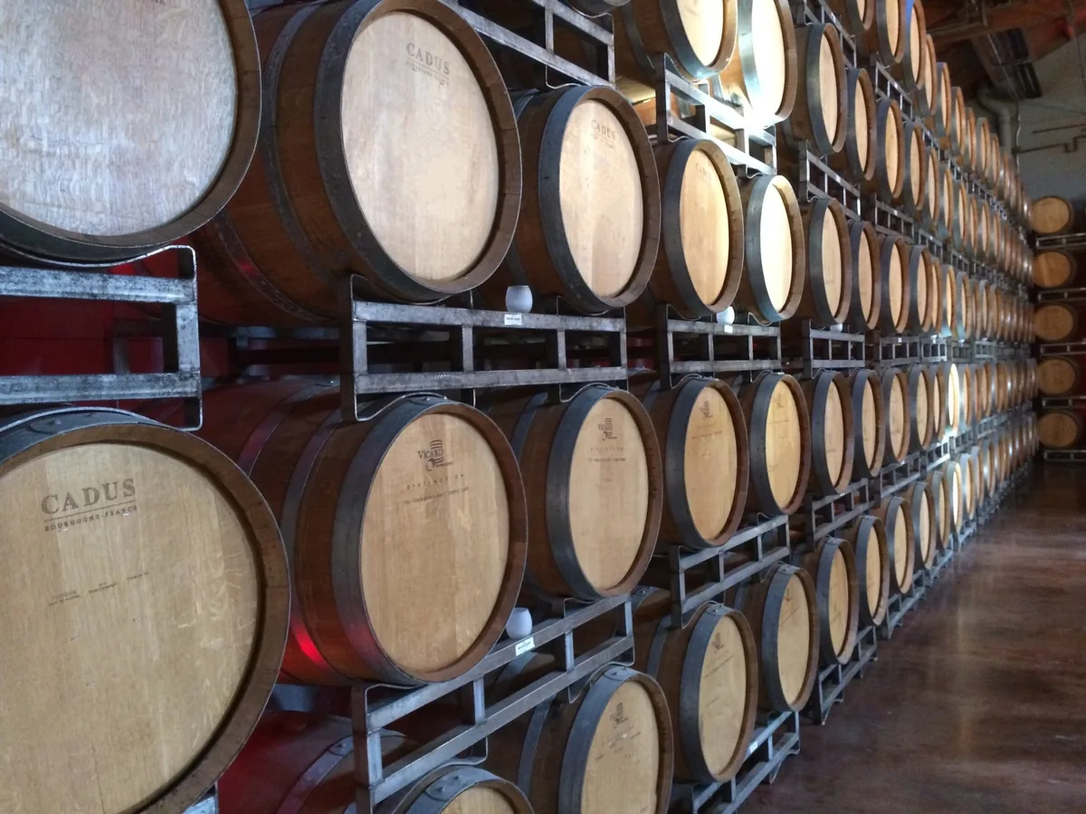 Meierstone Vineyards, Stonewall, TX
