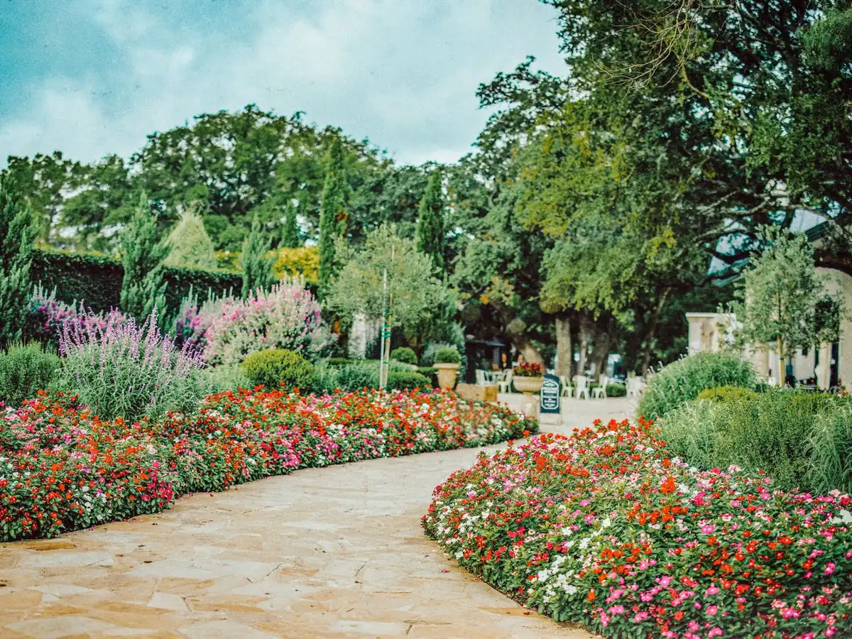 Signor Vineyards, Fredericksburg, TX